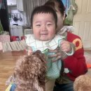 다온정 | 당일치기 문경 나들이, 다온정 약돌양념석쇠구이 그리고 다온정 &amp; 에코월드(수유실 정보) 내돈내산 후기