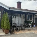 담다 | 동해점심맛집 담다 신메뉴 후기