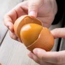 이거 먹고 마트 계란 끊었어요! 대한민국농수산 구운란 대란 솔직 후기