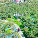 태리농장 이미지