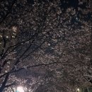 수지체육공원 테니스장 이미지