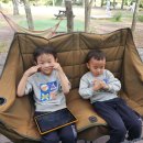 휴림 | 제주 휴림 캠핑장 가족 캠핑 후기 (아이랑, 재방문, 조용한 캠핑장)