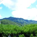 도그엔조이 이미지