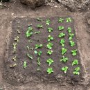 더함농장 이미지