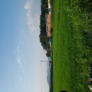 상월농장 이미지