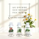 강화식물병원 이미지