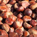 고명농장 이미지