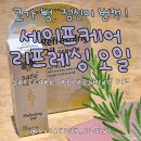 세이프케어 | [리뷰] 어깨 뭉침/졸음 타파! 괄사랑 찰떡궁합인 세이프케어 아로마 오일 찐후기 🌿(feat. 지속력 최고!)