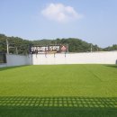 댕댕댕 애견유치원 이미지