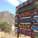 옥순봉민박 이미지