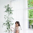 성미사진관 이미지