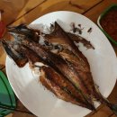 소리개목장 | 포천 글램핑 :: 홀스킹덤, 수영장 있는 글램핑장 (파리를 곁들인)