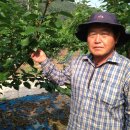 중호농장 이미지