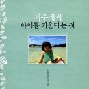 아이로제주 이미지