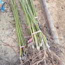 송하동물병원 이미지