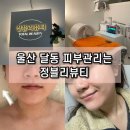 세븐일레븐 울산달동블루점 | 울산 달동 물광 피부관리 정블리뷰티 엑소좀 취급 에스테틱샵