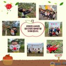 별마로 농장 이미지