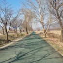 신장둔치 이미지