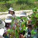 알곡어린이집 이미지