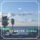 제주 서귀포 숙소 추천 금호제주리조트 스위트프리미어 오션뷰 객실·조식·명당 팁 총정리