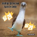 예술인미술교습소