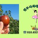 황토한우농장 이미지