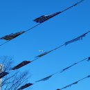 엘리시안타운 앞 이미지