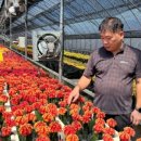 효자로(K) 이미지