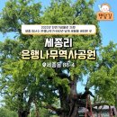 은행나무공원 이미지