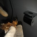 오포2동-1 이미지