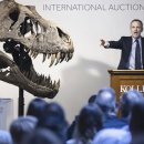 T. rex 해골, 취리히 경매에서 500만 달러 이상에 팔림 이미지