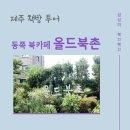 북촌플레이스Ⅰ | 올드북촌, 북촌 플레이스, 제주 동쪽 북카페 볼 수 있는 책 많은 곳