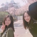 신애 카카오 검색결과