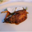 데이지꼼 이미지