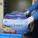 신안섬드리