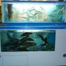 정가네어죽마을 이미지