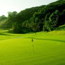 대영유리 이미지