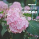 나무와사람그리고흙 | 용인자작나무숲 수국축제 동물먹이주기 아이랑 체험 후기
