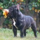 ZANYCAMP(재니캠프) 이미지