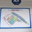 대암 팜트리 이미지