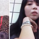 그놈의 닭 이미지