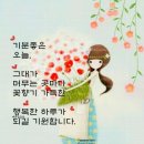 또이스치킨찜닭 네이버블로그