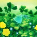 경희백세인한의원 이미지