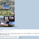 세렝게티 | 세렝게티 신혼여행, 심바투어 후기 공유드립니다.