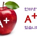 인터피아 이미지