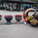 일동수목원 이미지