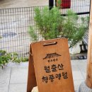 월출산청풍명월