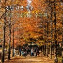 경상남도 수목원 | 경남 진주 여행 경상남도 수목원 단풍 후기