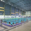 용운국제수영장 이미지