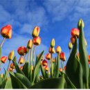 버블버블 이미지